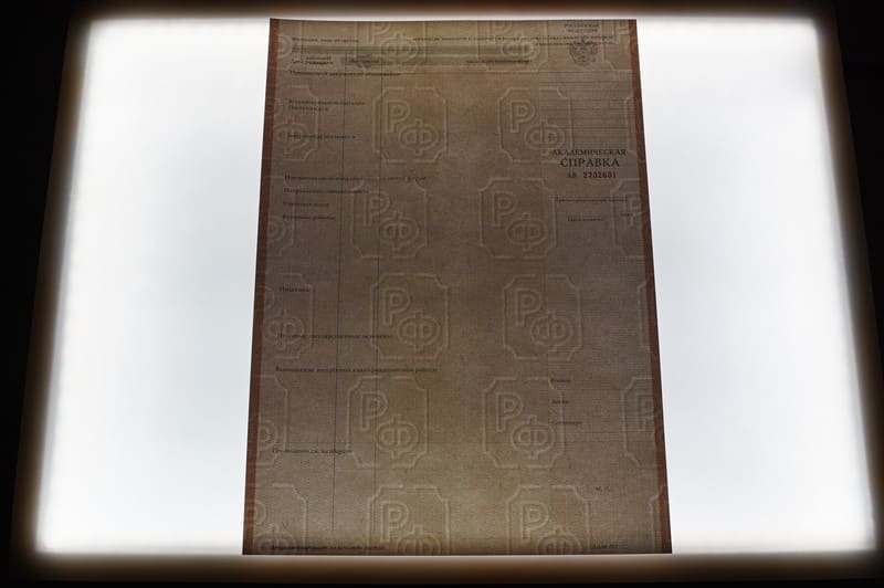Купить Академическая справка 2010-2011 года в Воронеже