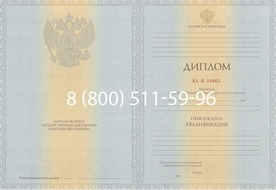 Диплом о высшем образовании 2012-2013 годов