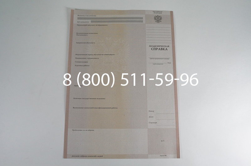 Заказать Академическая справка 1996-2009 года в Воронеже