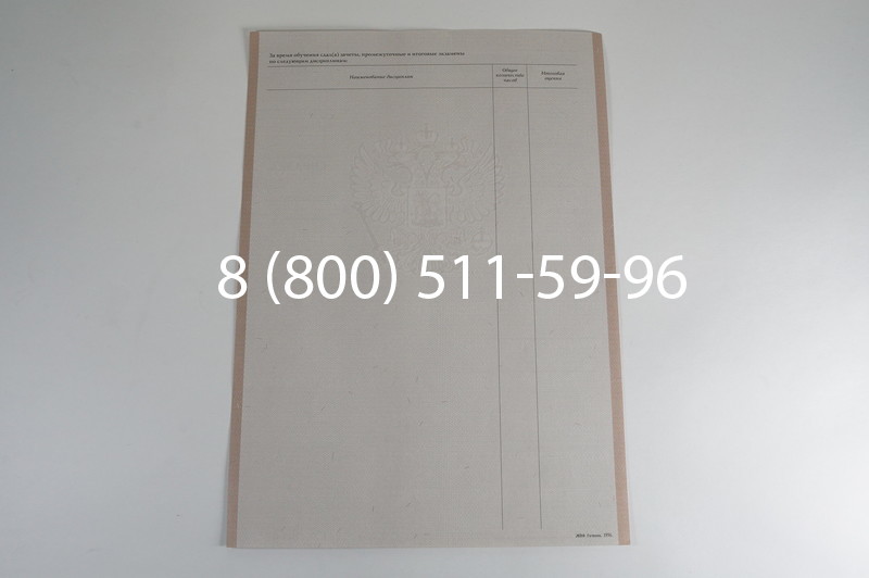 Заказать Академическая справка 1996-2009 года в Воронеже