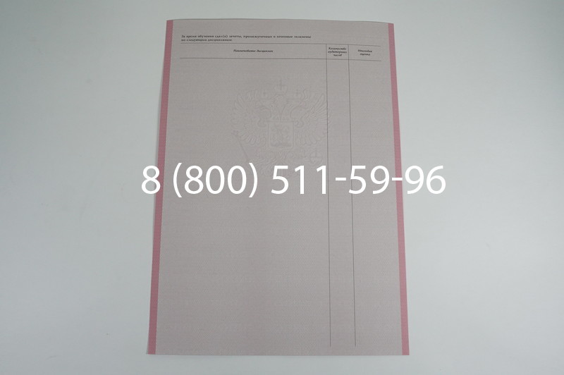 Заказать Академическая справка образца 1996-2009 год для колледжа в Воронеже