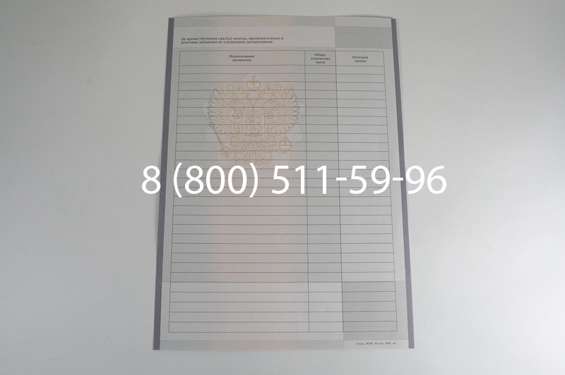 Заказать Академическая справка образца 2010-2011 год для колледжа в Воронеже