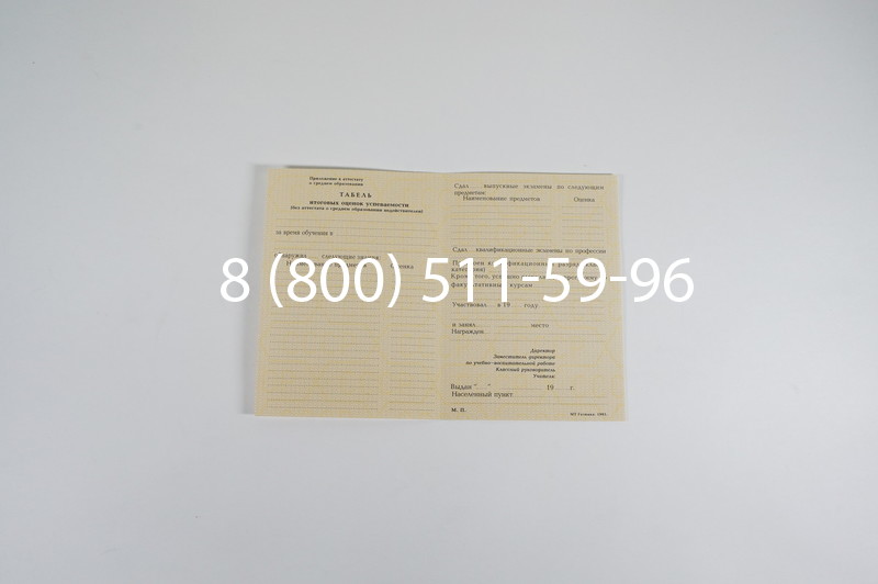 Заказать Аттестат 8 классов СССР в Воронеже