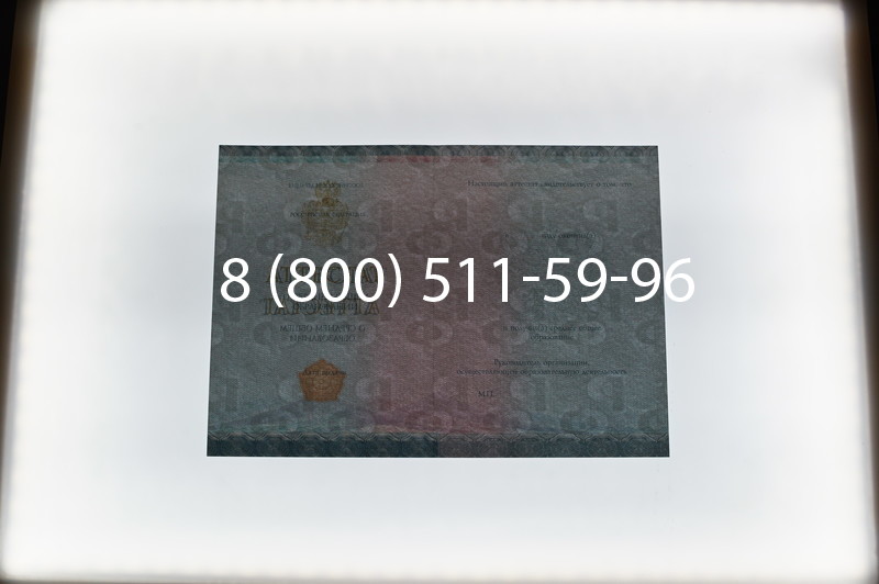 Купить Аттестат вечерней школы в Воронеже