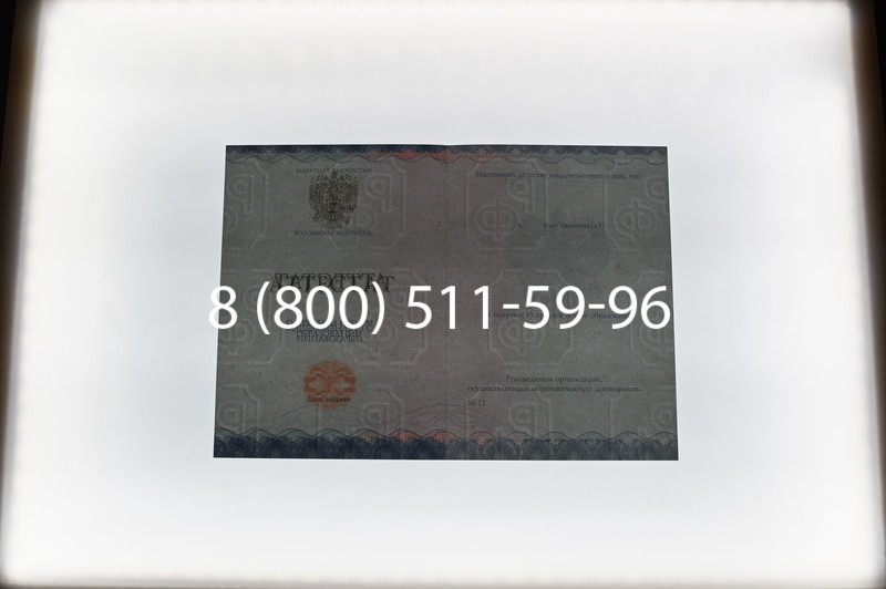 Купить Аттестат за 11 класс 2014-2026 года в Воронеже