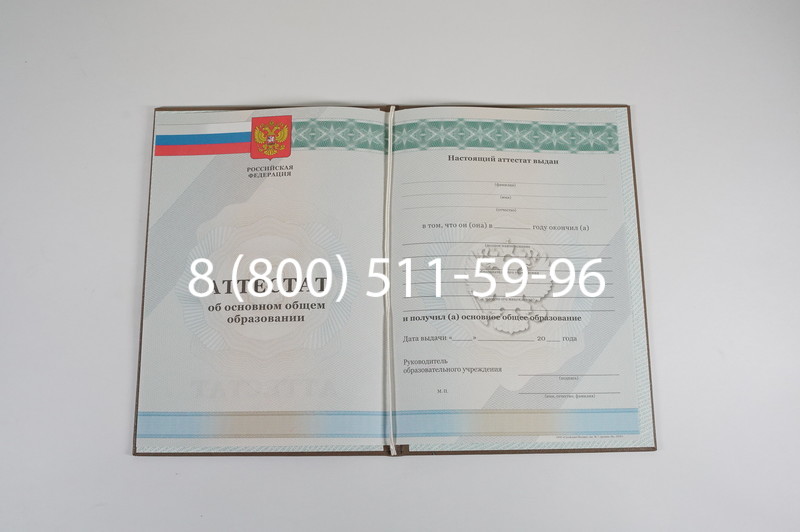 Аттестат за 9 класс 2011-2013 годов в Воронеже