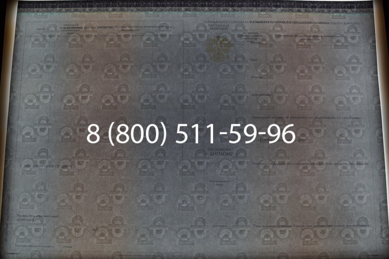 Заказать Диплом бакалавра (Киржач) 2014-2026 года в Воронеже