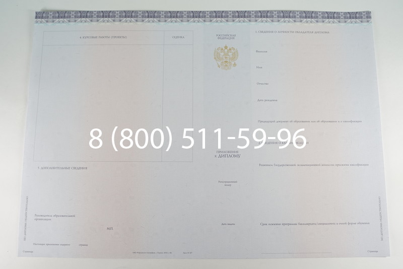 Диплом бакалавра (Киржач) 2014-2026 года в Воронеже