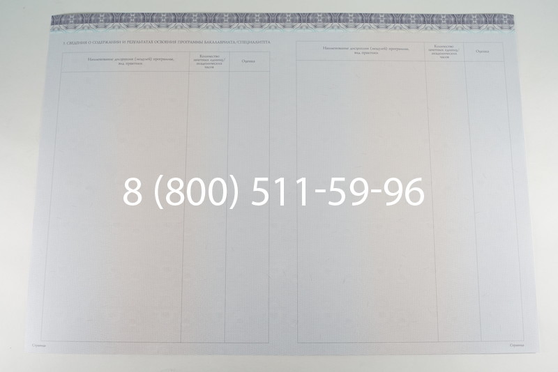 Диплом бакалавра (Киржач) 2014-2026 года в Воронеже