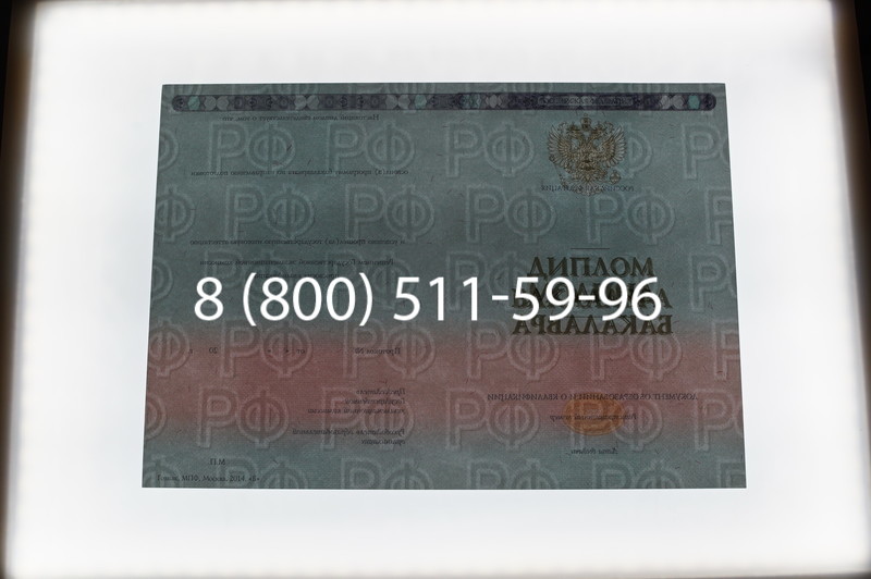 Заказать Диплом бакалавра 2014-2026 года в Воронеже