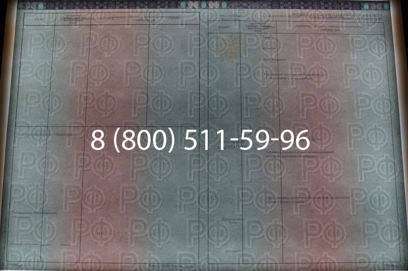 Заказать Диплом бакалавра 2014-2026 года в Воронеже