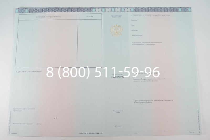 Диплом бакалавра 2014-2026 года в Воронеже
