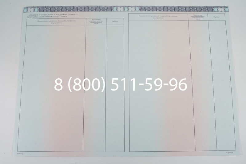 Диплом бакалавра 2014-2026 года в Воронеже