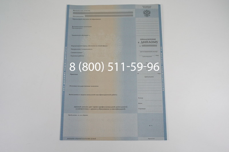 Заказать Диплом бакалавра 1997-2002 годов в Воронеже