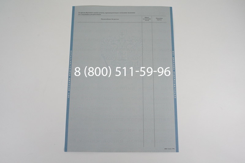 Заказать Диплом бакалавра 1997-2002 годов в Воронеже
