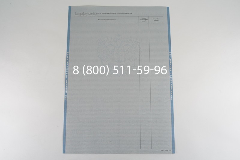 Диплом бакалавра 2003-2009 годов в Воронеже