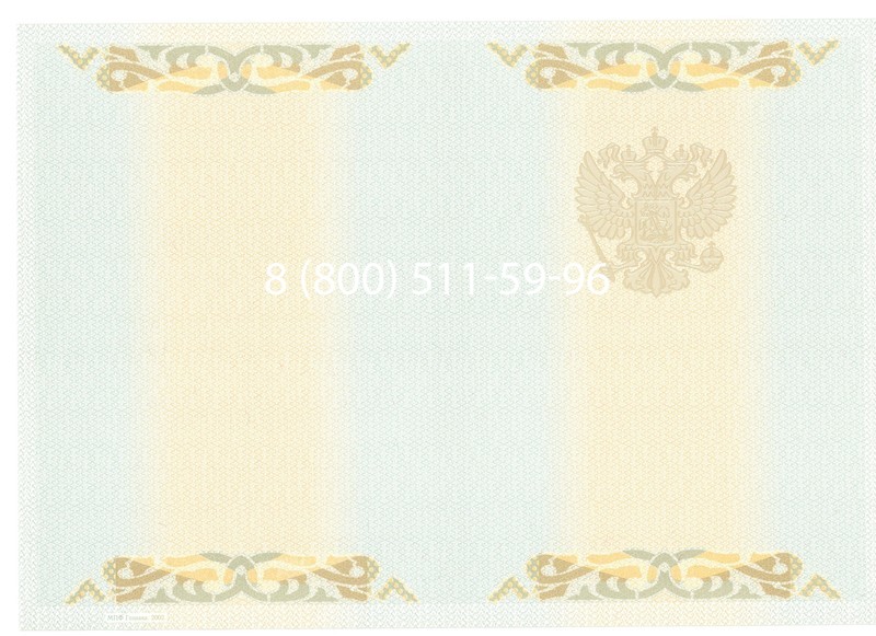 Купить Диплом бакалавра 2003-2009 годов в Воронеже