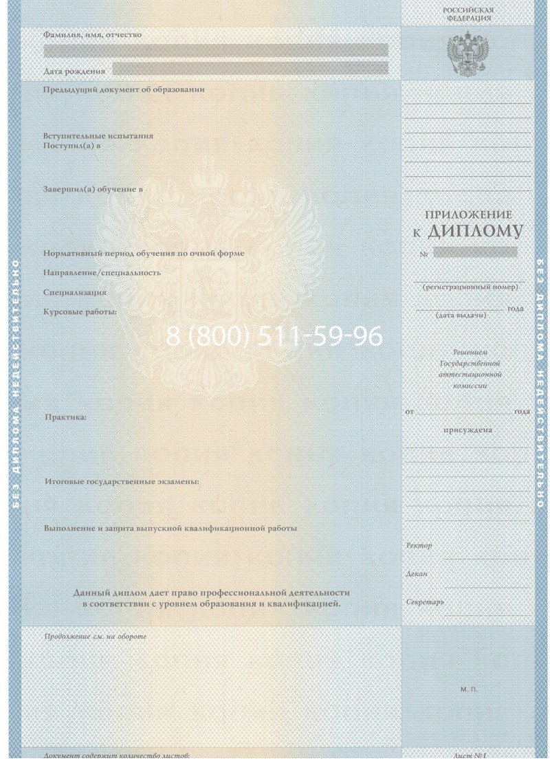 Заказать Диплом бакалавра 2003-2009 годов в Воронеже