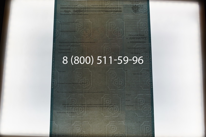 Заказать Диплом бакалавра 2003-2009 годов в Воронеже