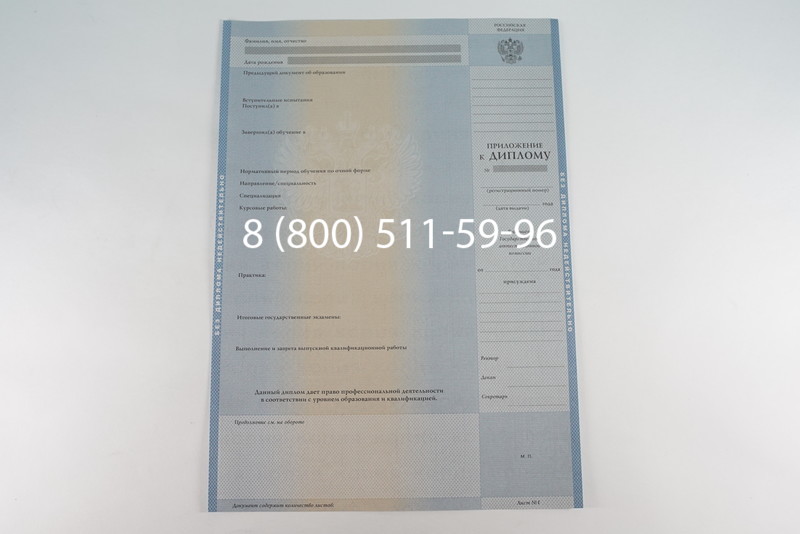 Диплом бакалавра 2003-2009 годов в Воронеже