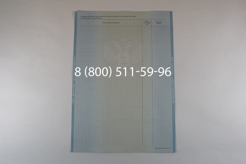 Диплом бакалавра 2012-2013 годов в Воронеже