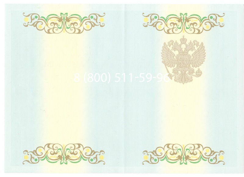 Купить Диплом бакалавра 2012-2013 годов в Воронеже