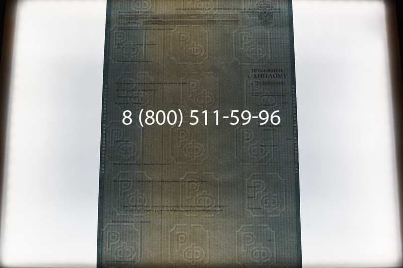 Заказать Диплом бакалавра 2012-2013 годов в Воронеже