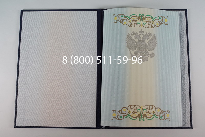 Диплом бакалавра 2012-2013 годов в Воронеже