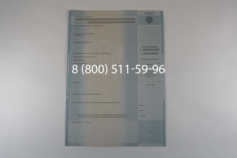 Диплом бакалавра 2012-2013 годов в Воронеже