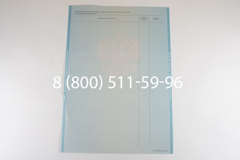 Диплом бакалавра 2010-2011 годов в Воронеже