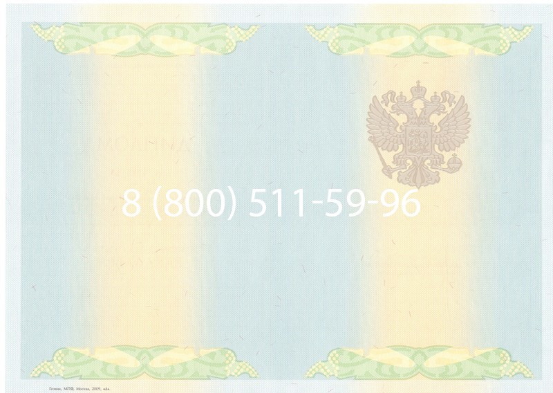 Купить Диплом бакалавра 2010-2011 годов в Воронеже