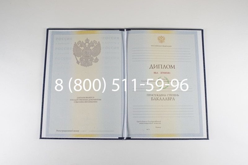 Диплом бакалавра 2010-2011 годов в Воронеже