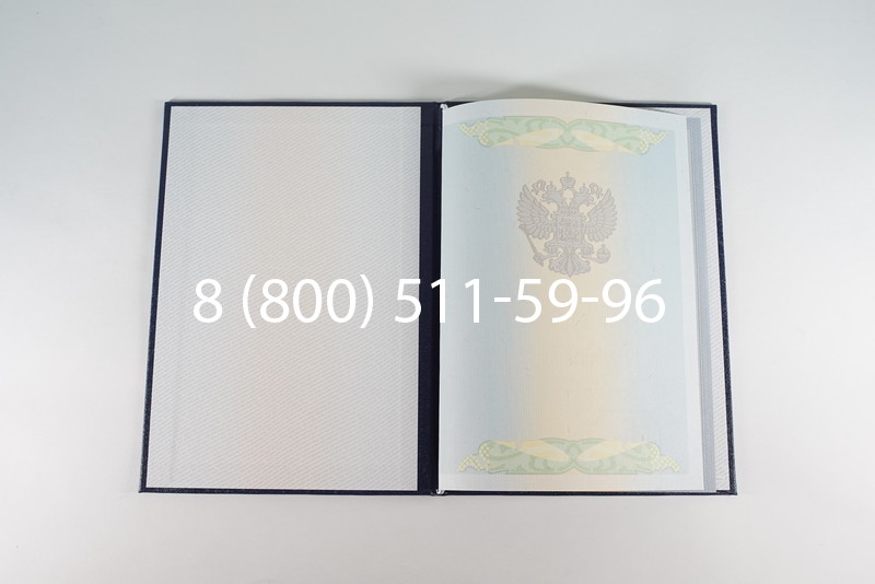 Диплом бакалавра 2010-2011 годов в Воронеже