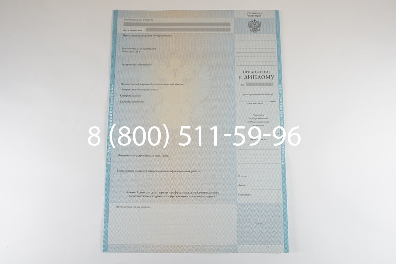 Диплом бакалавра 2010-2011 годов в Воронеже