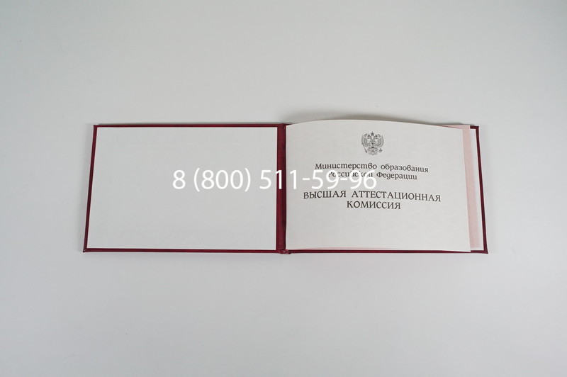 Диплом доктора наук 1995-2006 года в Воронеже