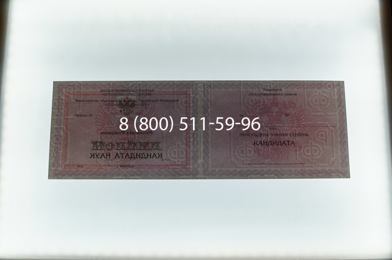 Заказать Диплом кандидата наук 2010 в Воронеже