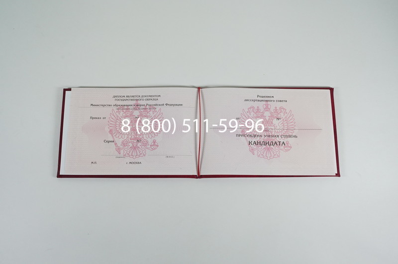 Заказать Диплом кандидата наук 2010 в Воронеже