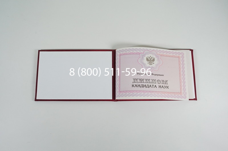 Заказать Диплом кандидата наук 2010 в Воронеже