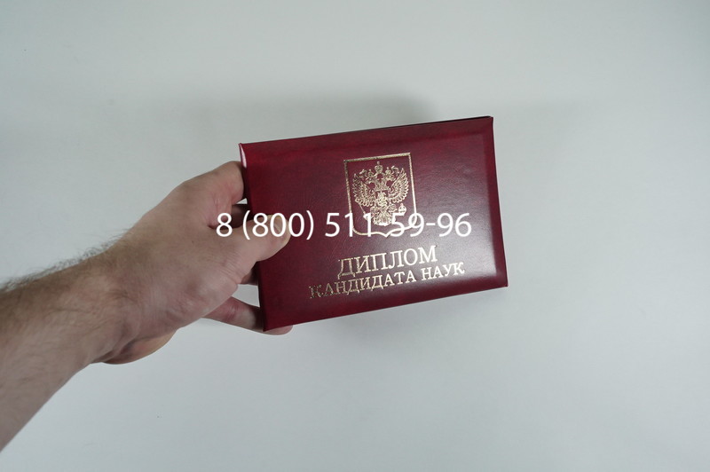 Диплом кандидата наук 2010 в Воронеже