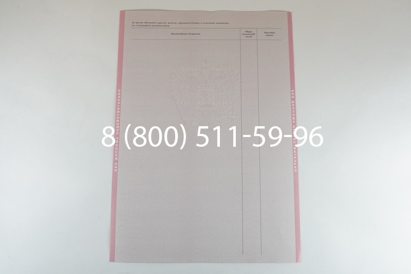 Диплом колледжа 2003-2006 годов в Воронеже