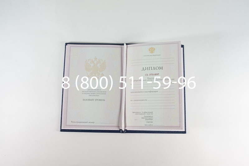 Диплом колледжа 2003-2006 годов в Воронеже