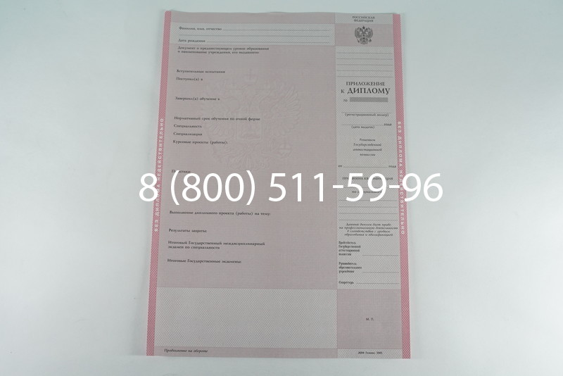 Диплом колледжа 2003-2006 годов в Воронеже