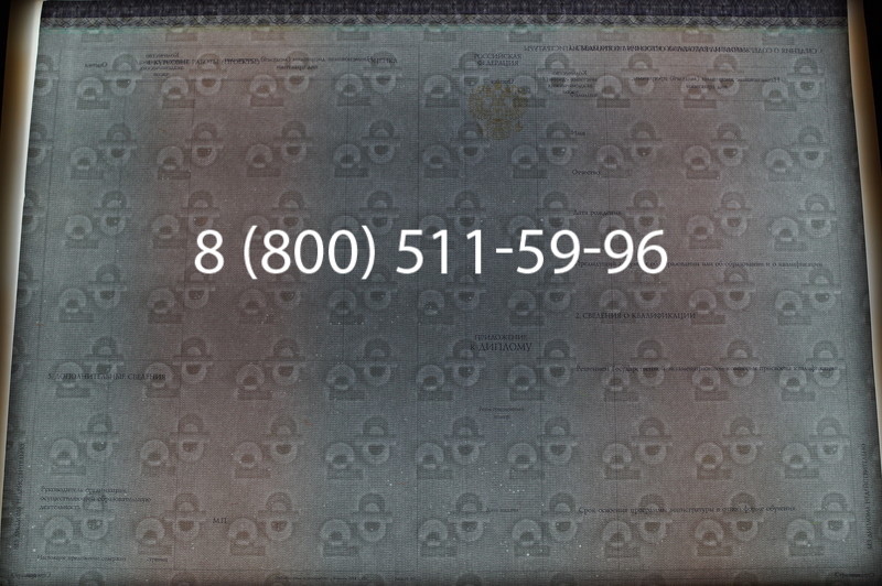 Заказать Диплом магистра (КИРЖАЧ) 2014-2026годов в Воронеже