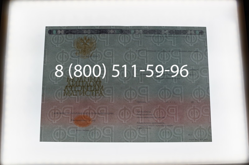 Заказать Диплом магистра 2014-2026 года в Воронеже