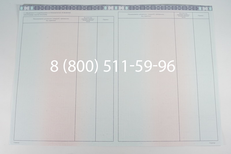 Диплом магистра 2014-2026 года в Воронеже