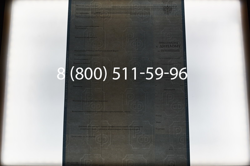 Заказать Диплом магистра 1997-2002 годов в Воронеже