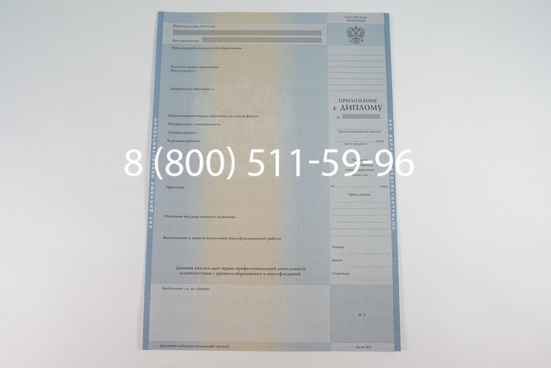 Диплом магистра 1997-2002 годов в Воронеже