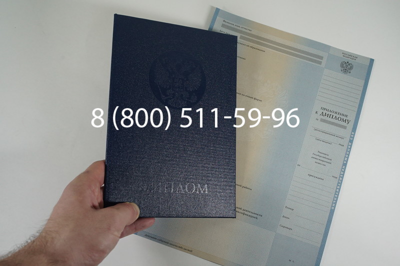 Диплом магистра 2003-2009 годов в Воронеже
