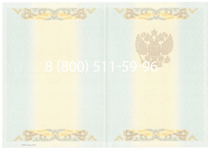 Купить Диплом магистра 2003-2009 годов в Воронеже