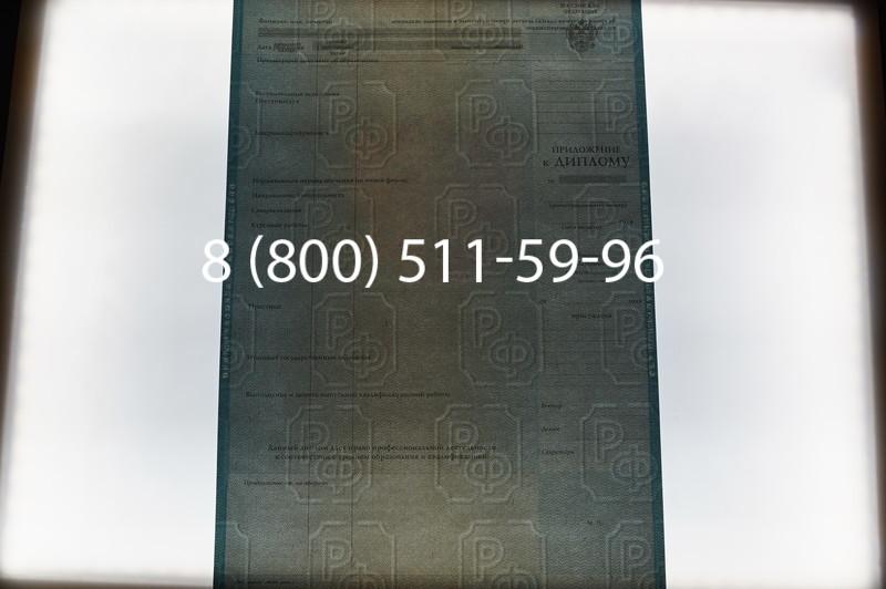 Заказать Диплом магистра 2003-2009 годов в Воронеже